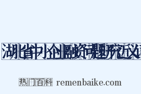 湖北省中小企业融资问题研究近义词是什么意思的图片